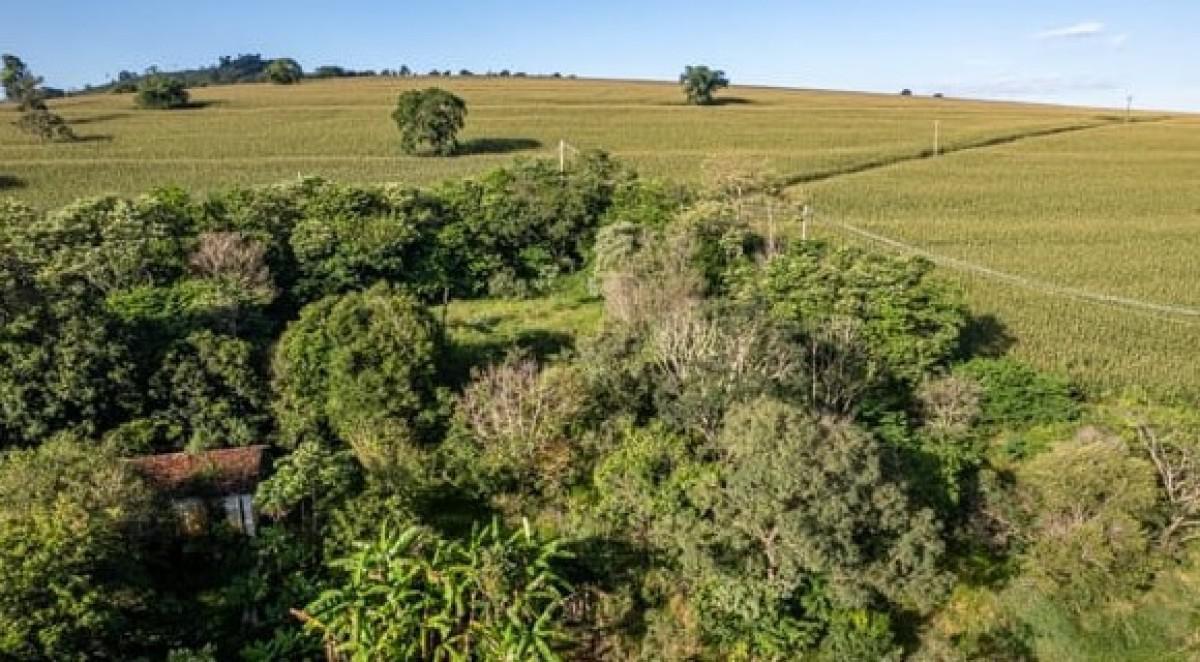 Fazenda, Zona Rural, 0 Quarto, 0 Vaga