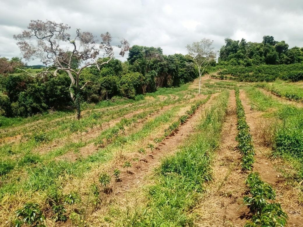 Fazenda, São Sebastião da Estrela, 1 Quarto, 1 Vaga, 1 Suíte