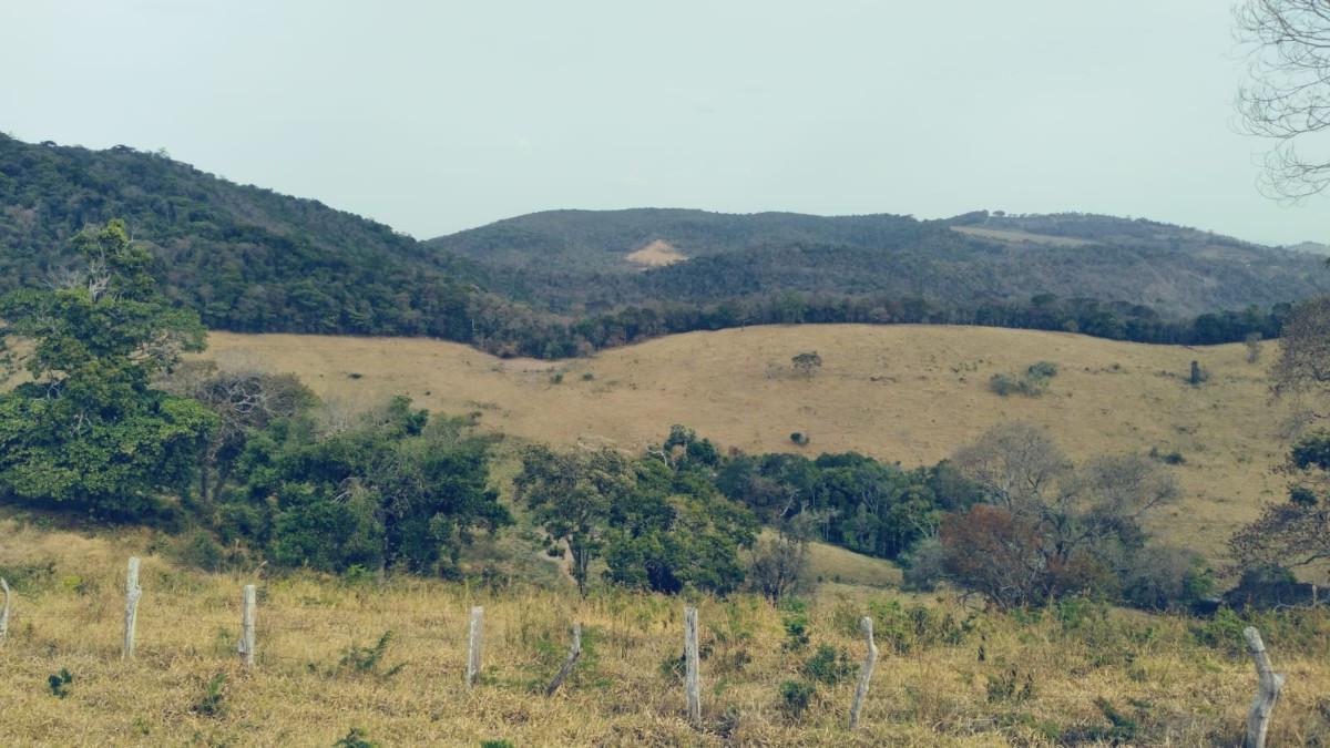 Fazenda, Zona Rural, 0 Quarto, 0 Vaga