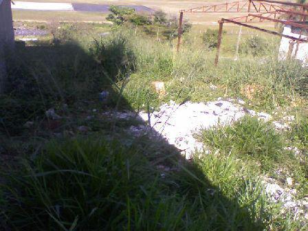 Lote, Itapoã