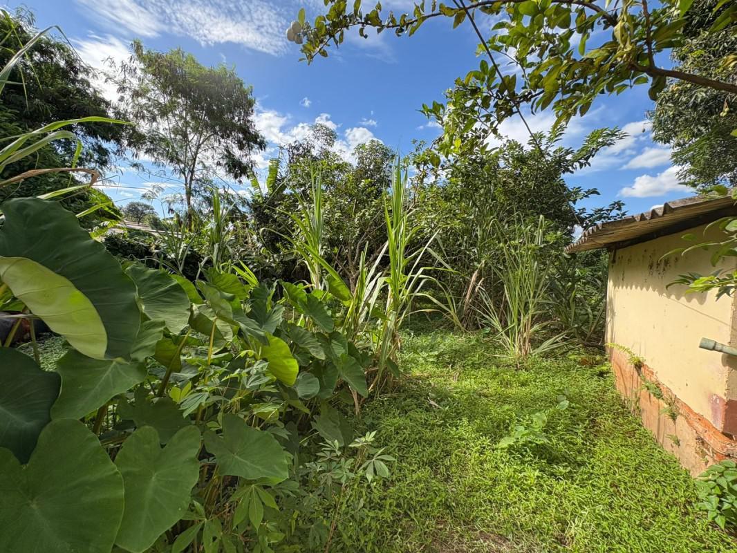 Fazenda, Bom Jardim, 0 Quarto, 0 Vaga