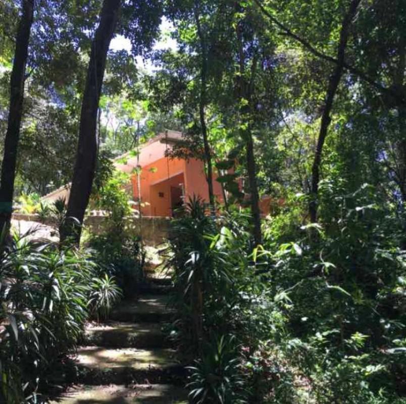 Lote, Parque Ipiranga, 0 Quarto, 0 Vaga