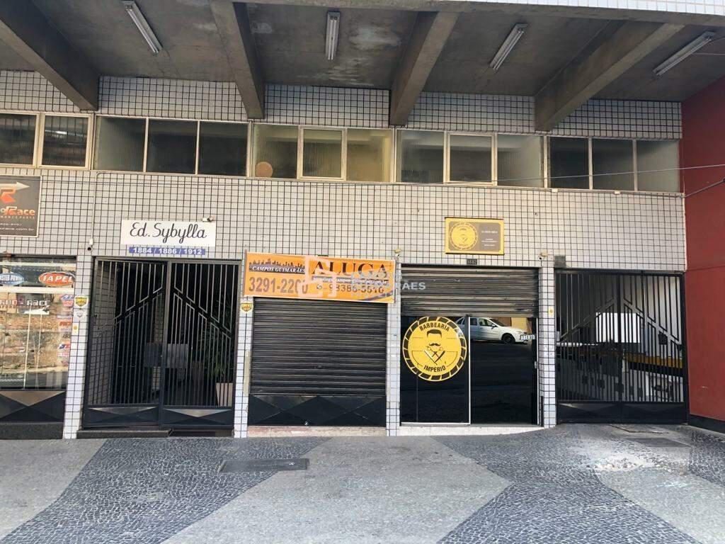 Loja, Floresta