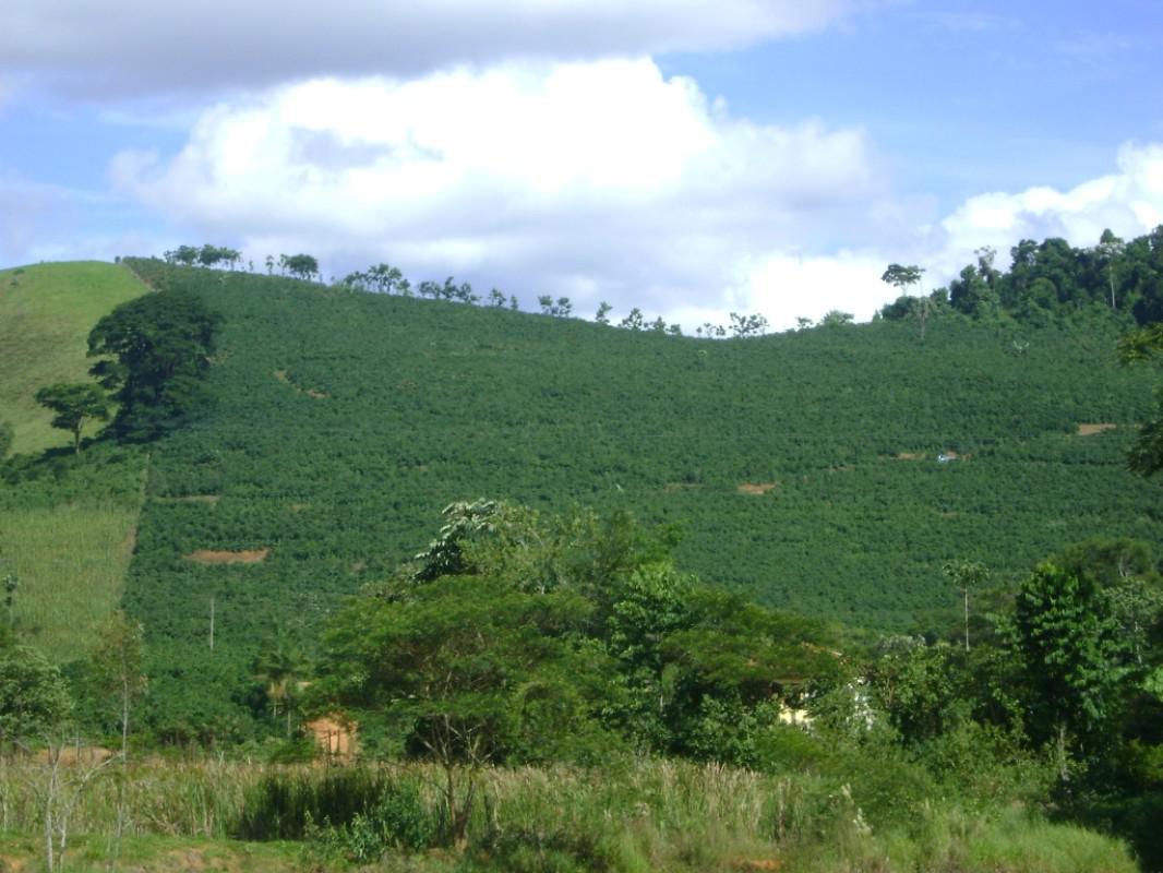 Fazenda, Centro, 3 Quartos, 1 Vaga