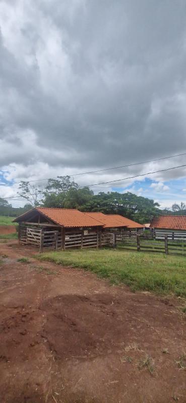 Fazenda, Centro, 0 Quarto, 0 Vaga