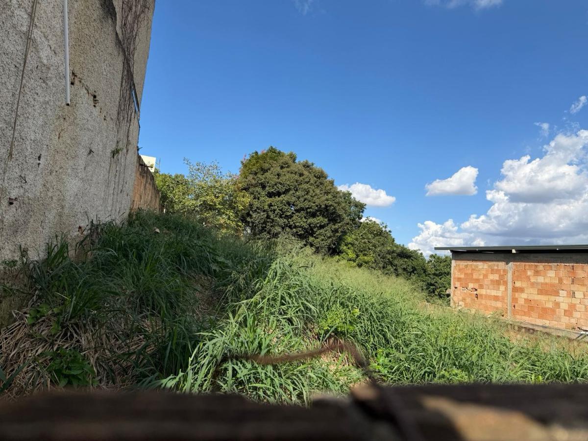 Lote, Tropical, 0 Quarto, 0 Vaga