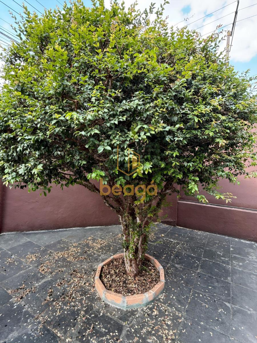 Casa, Carlos Prates, 3 Quartos, 2 Vagas