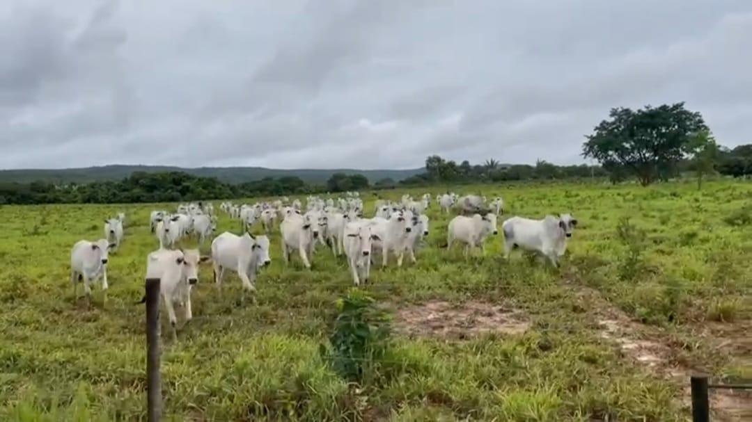 Fazenda, Zona Rural, 3 Quartos, 0 Vaga
