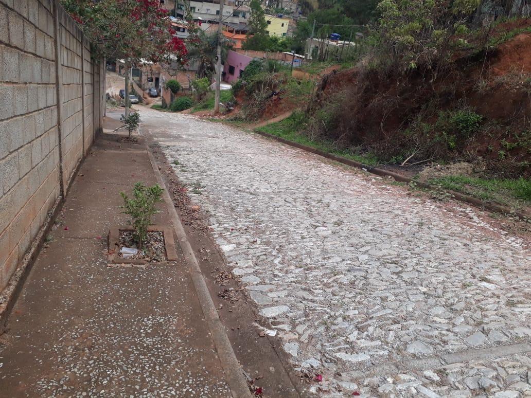 Lote, Nossa Senhora de Fátima, 0 Quarto, 0 Vaga