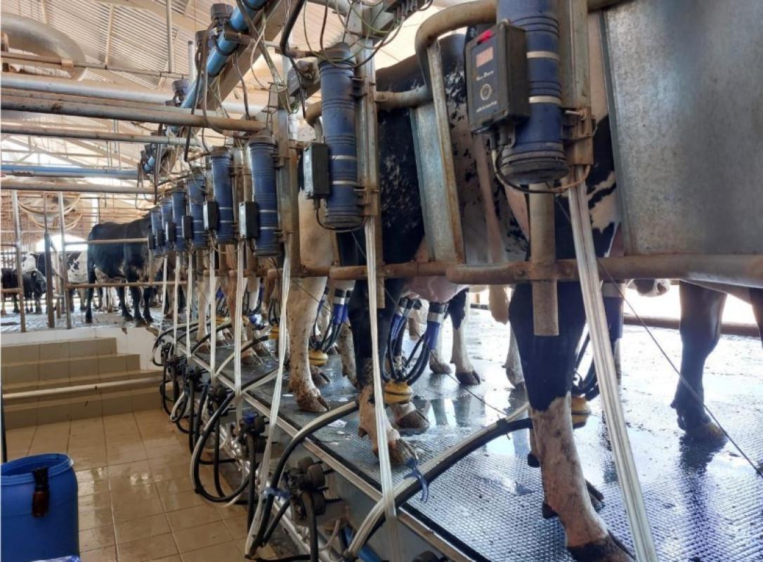 Fazenda, Zona Rural, 0 Quarto, 0 Vaga