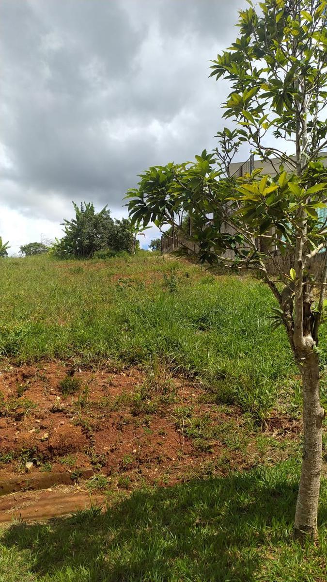 Lote, Serra Morena, 0 Quarto, 0 Vaga
