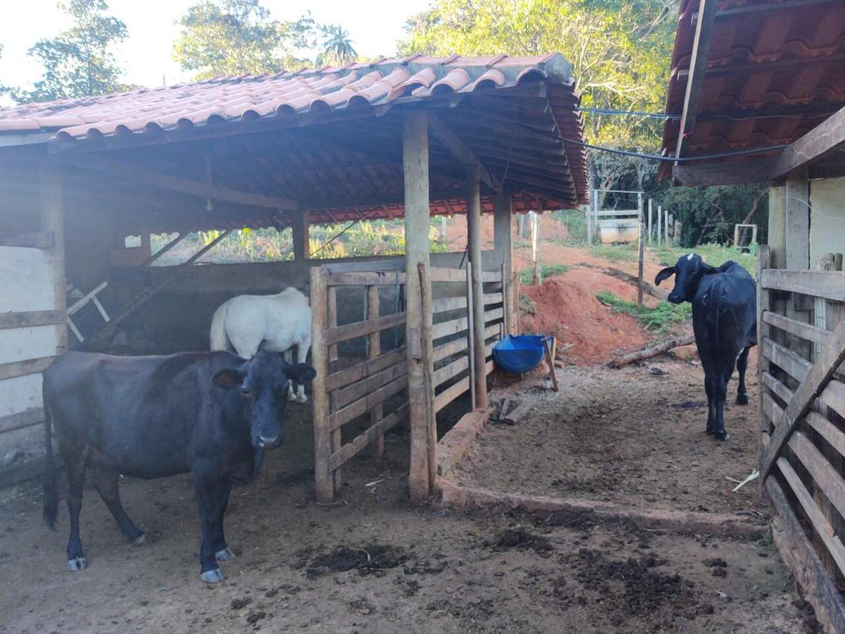 Fazenda, Caracois de Baixo, 4 Quartos, 12 Vagas, 1 Suíte