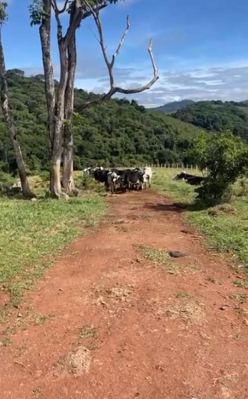 Fazenda, Zona Rural, 3 Quartos, 0 Vaga