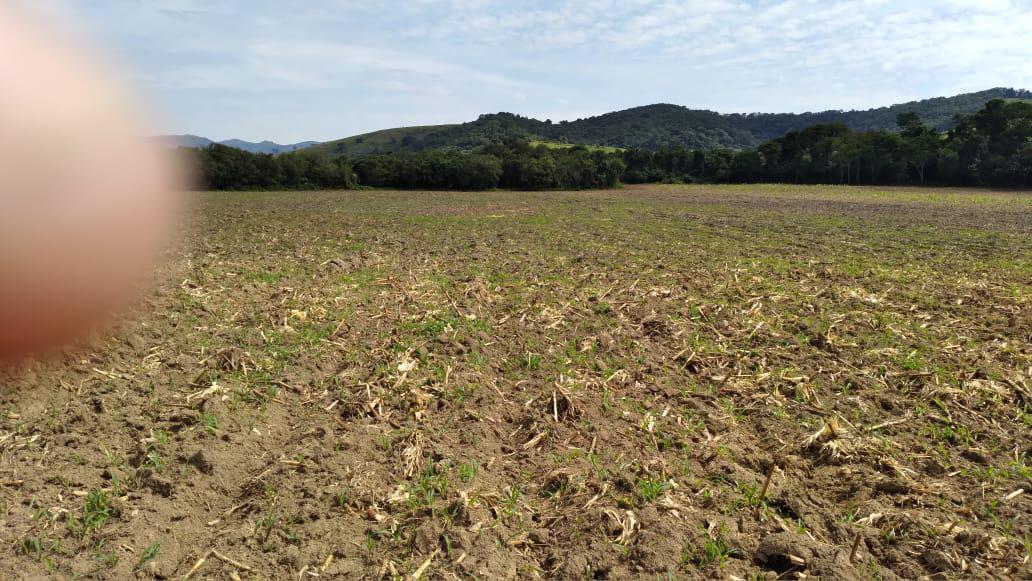 Fazenda, Dos Campos, 3 Quartos, 5 Vagas