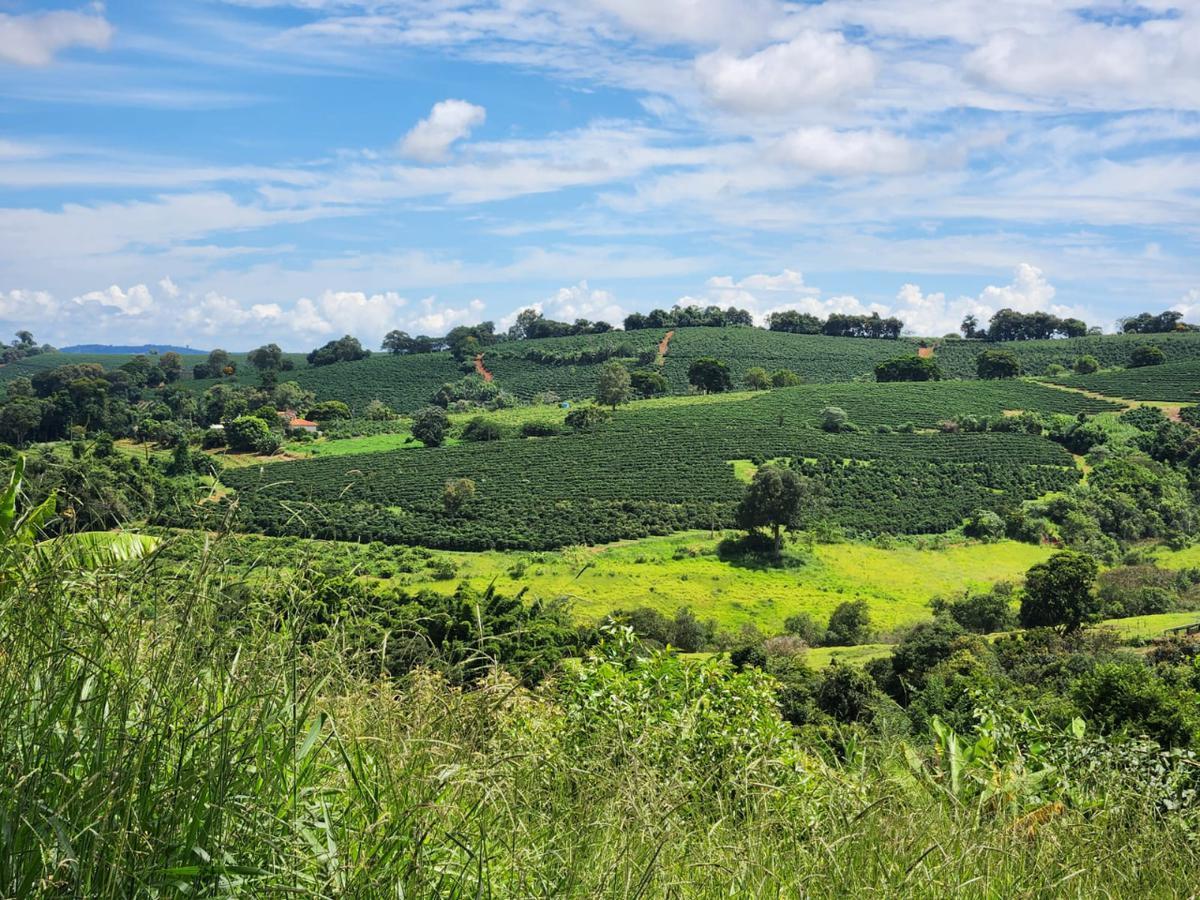 Fazenda, Zona Rural, 3 Quartos, 3 Vagas