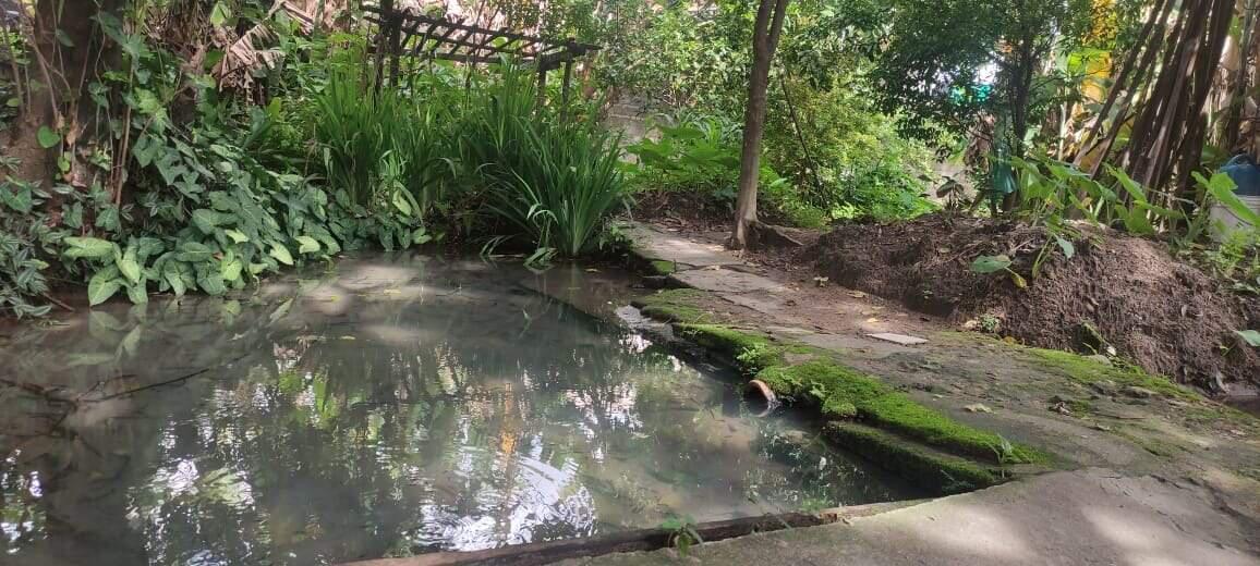 Lote, Sagrada Família, 0 Quarto, 0 Vaga