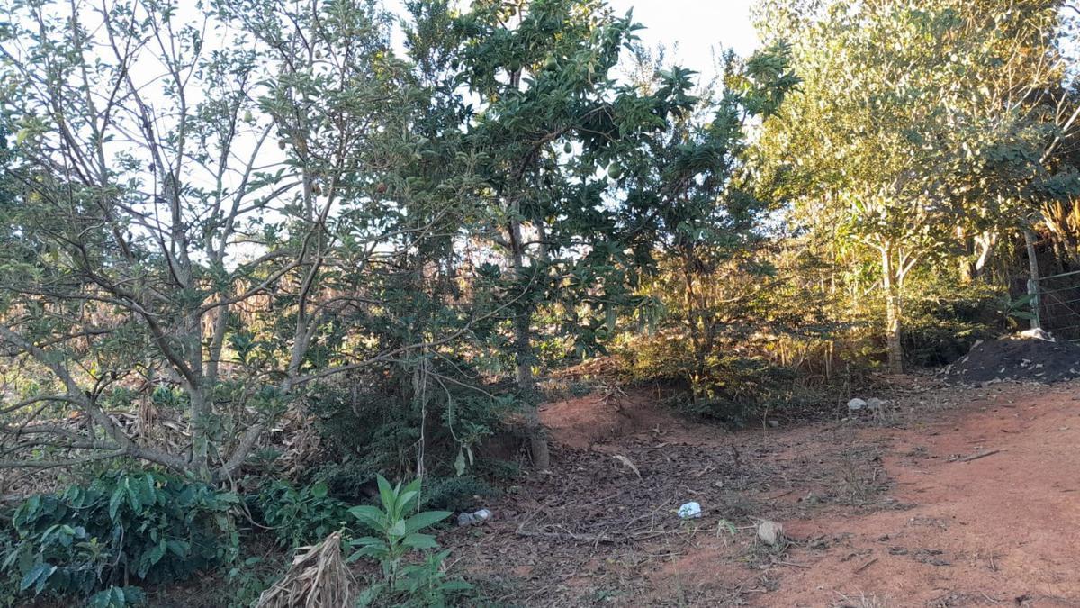 Fazenda, Zona Rural, 0 Quarto, 0 Vaga