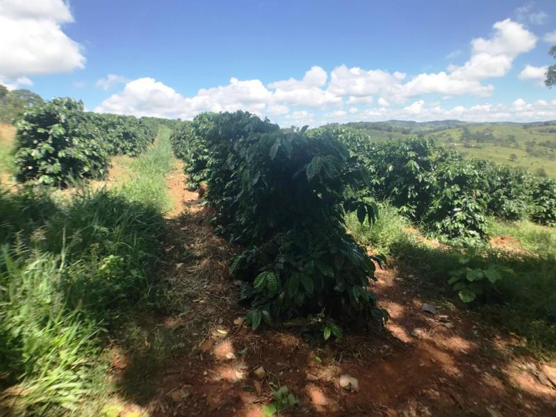 Fazenda, Zona Rural, 0 Quarto, 0 Vaga