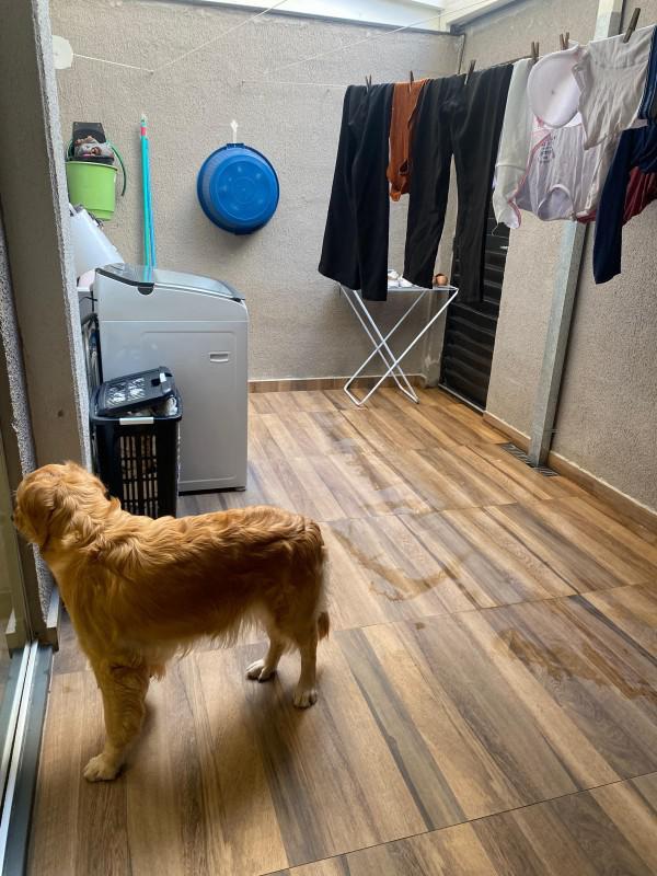 Apartamento, Varzea, 2 Quartos, 1 Vaga