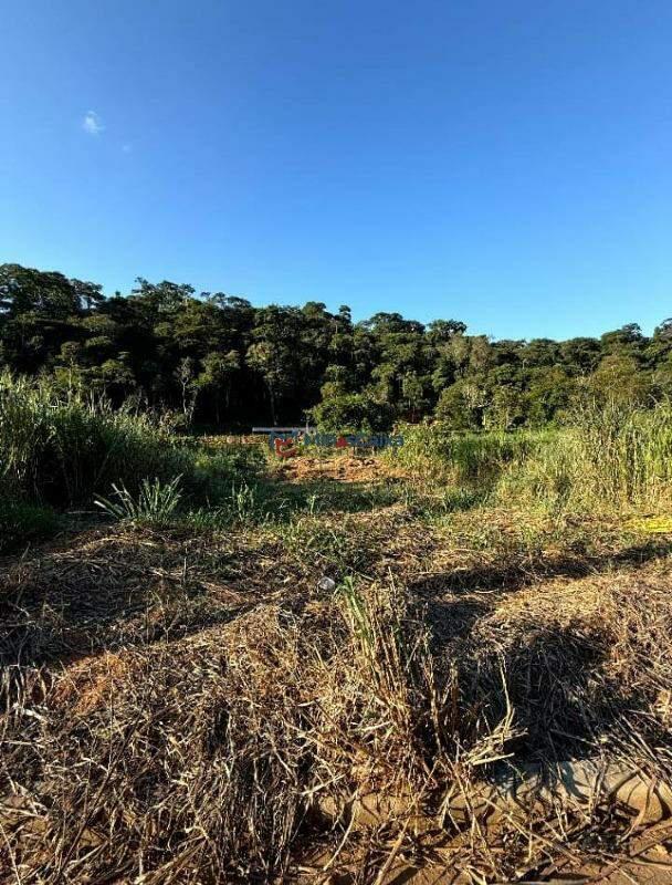 Lote, Novo Horizonte, 0 Quarto, 20 Vagas