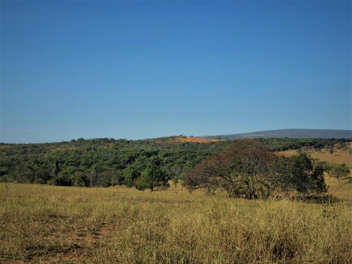 Fazenda, Centro, 1 Quarto, 0 Vaga