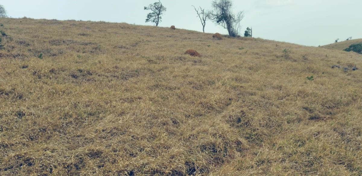 Fazenda, Zona Rural, 0 Quarto, 0 Vaga