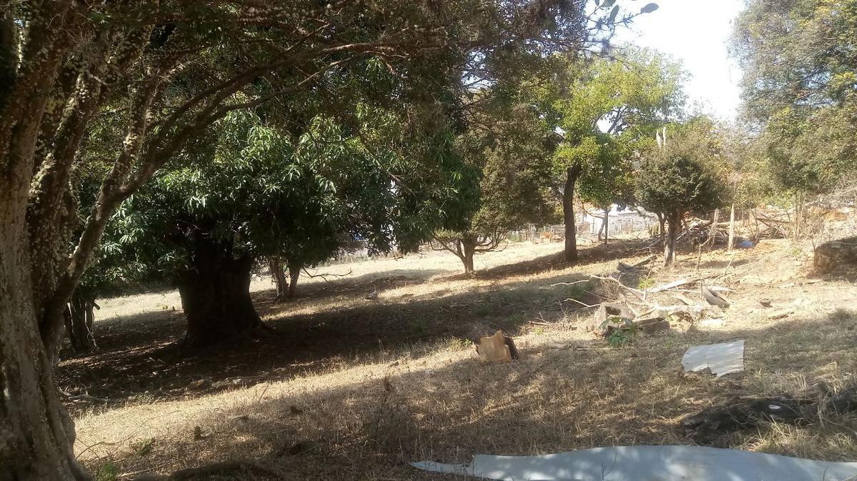 Lote, Centro, 0 Quarto, 0 Vaga