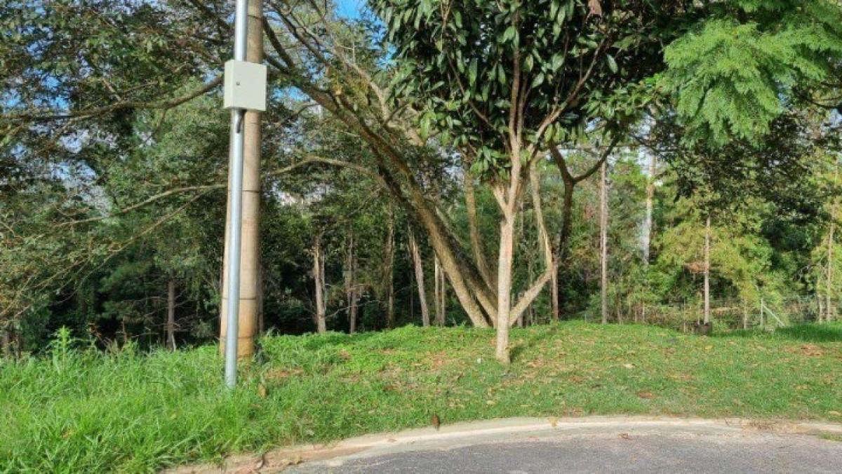 Lote, Alphaville - Lagoa dos Ingleses, 0 Quarto, 0 Vaga