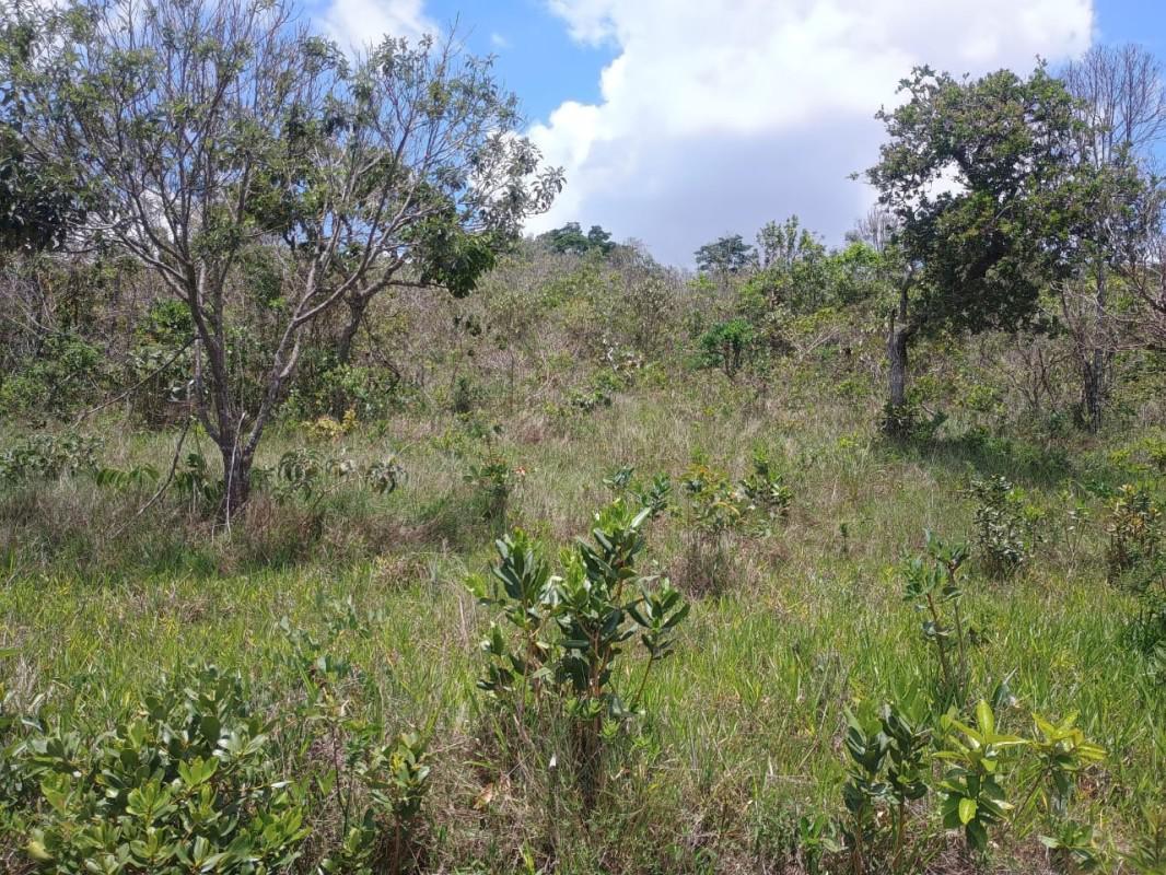 Fazenda, Zona Rural, 0 Quarto, 0 Vaga