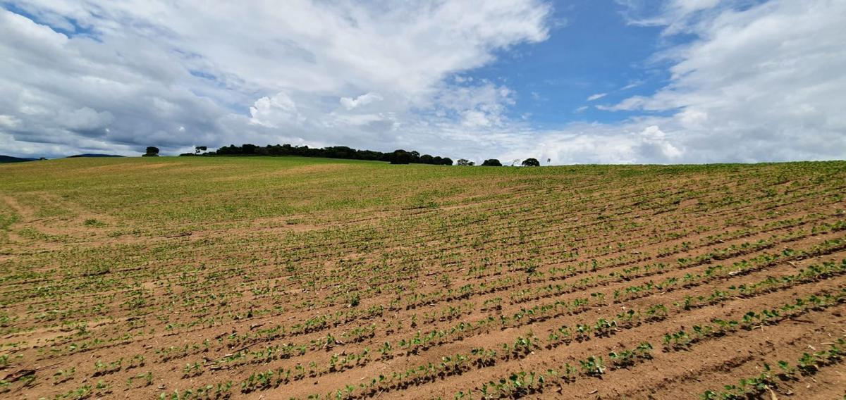 Fazenda, Centro, 1 Quarto, 1 Vaga, 1 Suíte