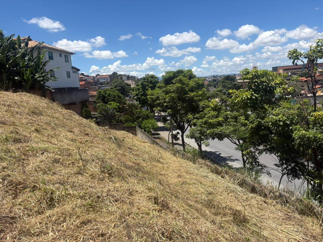 Lote, Santa Mônica, 0 Quarto, 0 Vaga