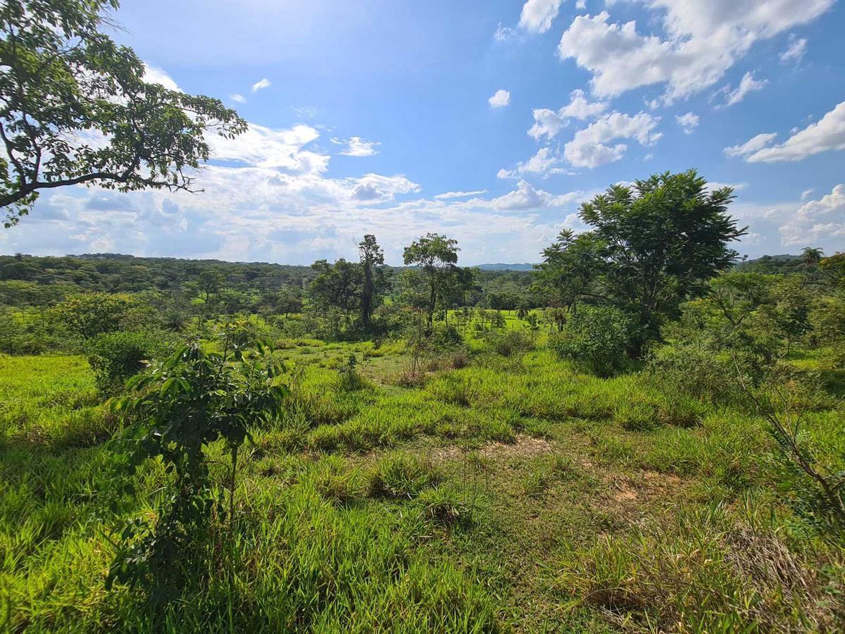 Lote, Novo Retiro, 0 Quarto, 0 Vaga