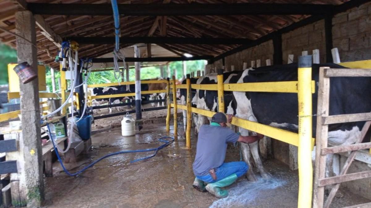 Fazenda, Centro, 6 Quartos, 3 Vagas