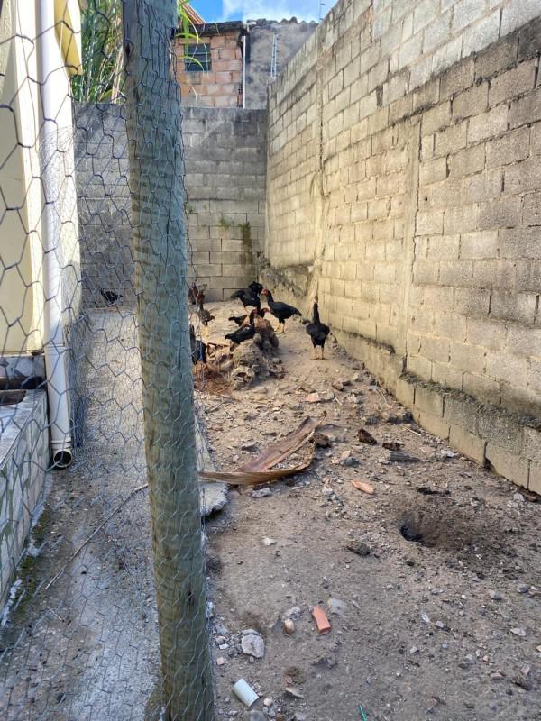 Casa, Goiânia, 2 Quartos, 2 Vagas