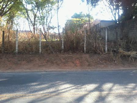Lote, Braúnas