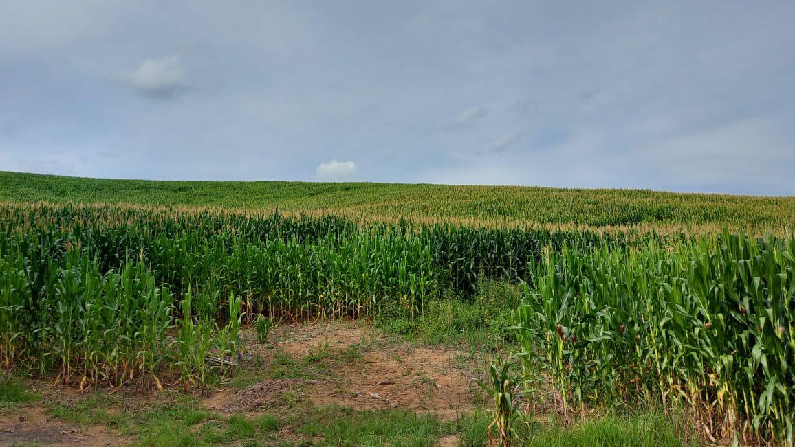 Fazenda, Zona Rural, 2 Quartos, 0 Vaga