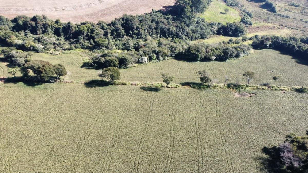 Fazenda, Centro, 0 Quarto, 0 Vaga
