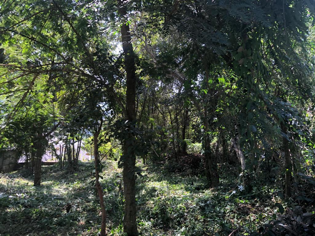 Lote em Condomínio, Mirante da Mata