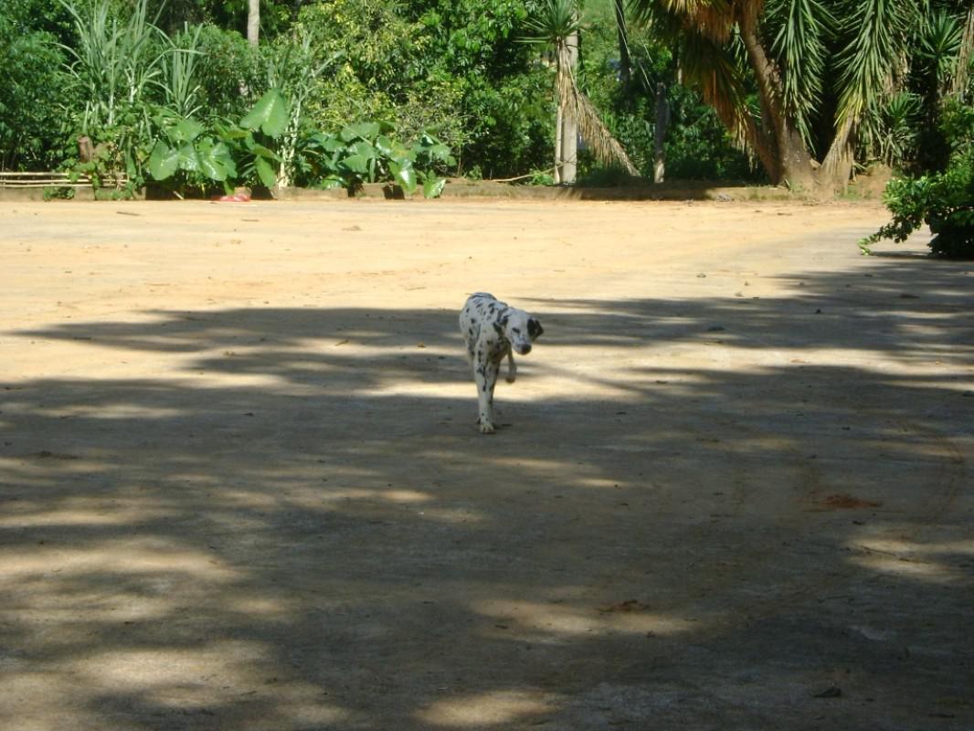 Fazenda, Centro, 3 Quartos, 1 Vaga