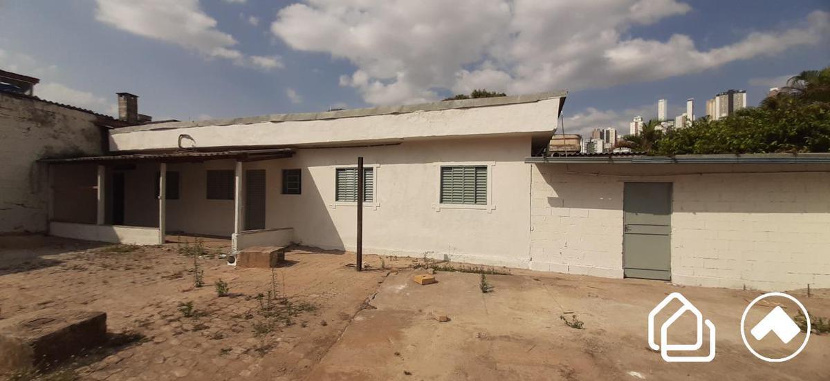 Lote, Palmeiras