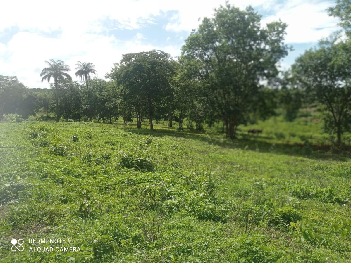 Fazenda, Água Quente