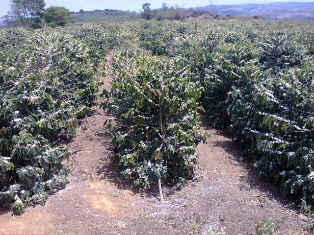 Fazenda, Zona Rural, 4 Quartos, 0 Vaga, 1 Suíte