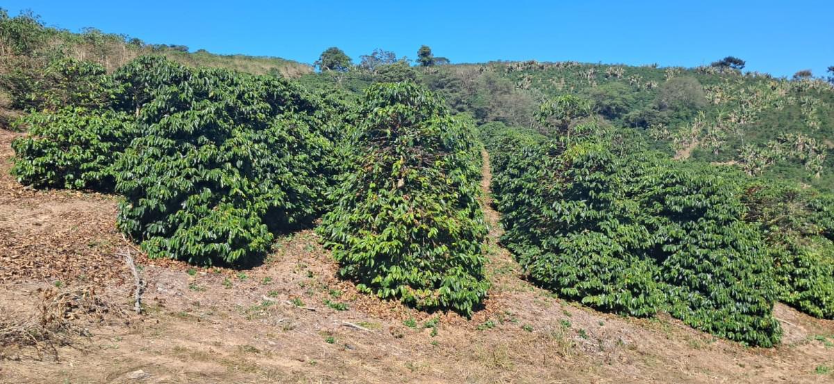 Fazenda, Zona Rural, 0 Quarto, 0 Vaga