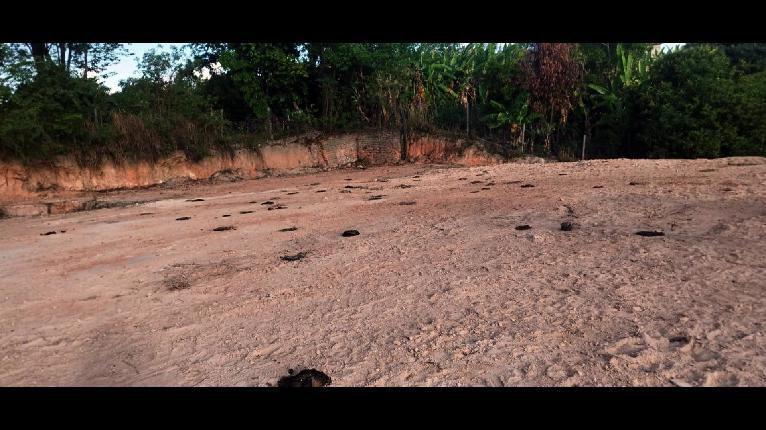 Fazenda, Ravena, 0 Quarto, 0 Vaga