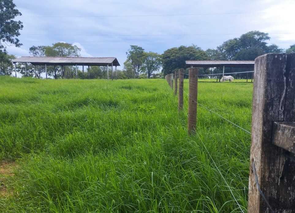 Fazenda, Zona Rural, 4 Quartos, 0 Vaga