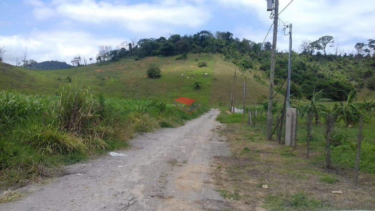 Fazenda, Centro, 0 Quarto, 0 Vaga