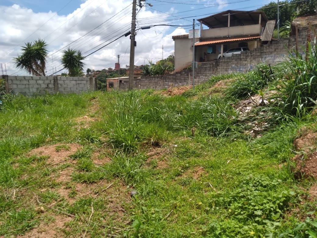 Lote, Novo Horizonte, 0 Quarto, 0 Vaga