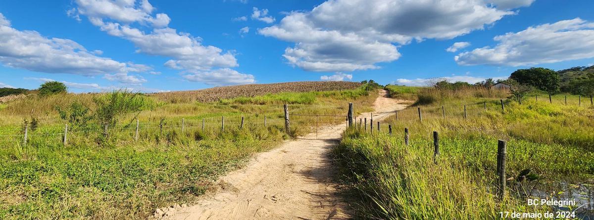 Fazenda, Zona Rural, 9 Quartos, 0 Vaga, 5 Suítes