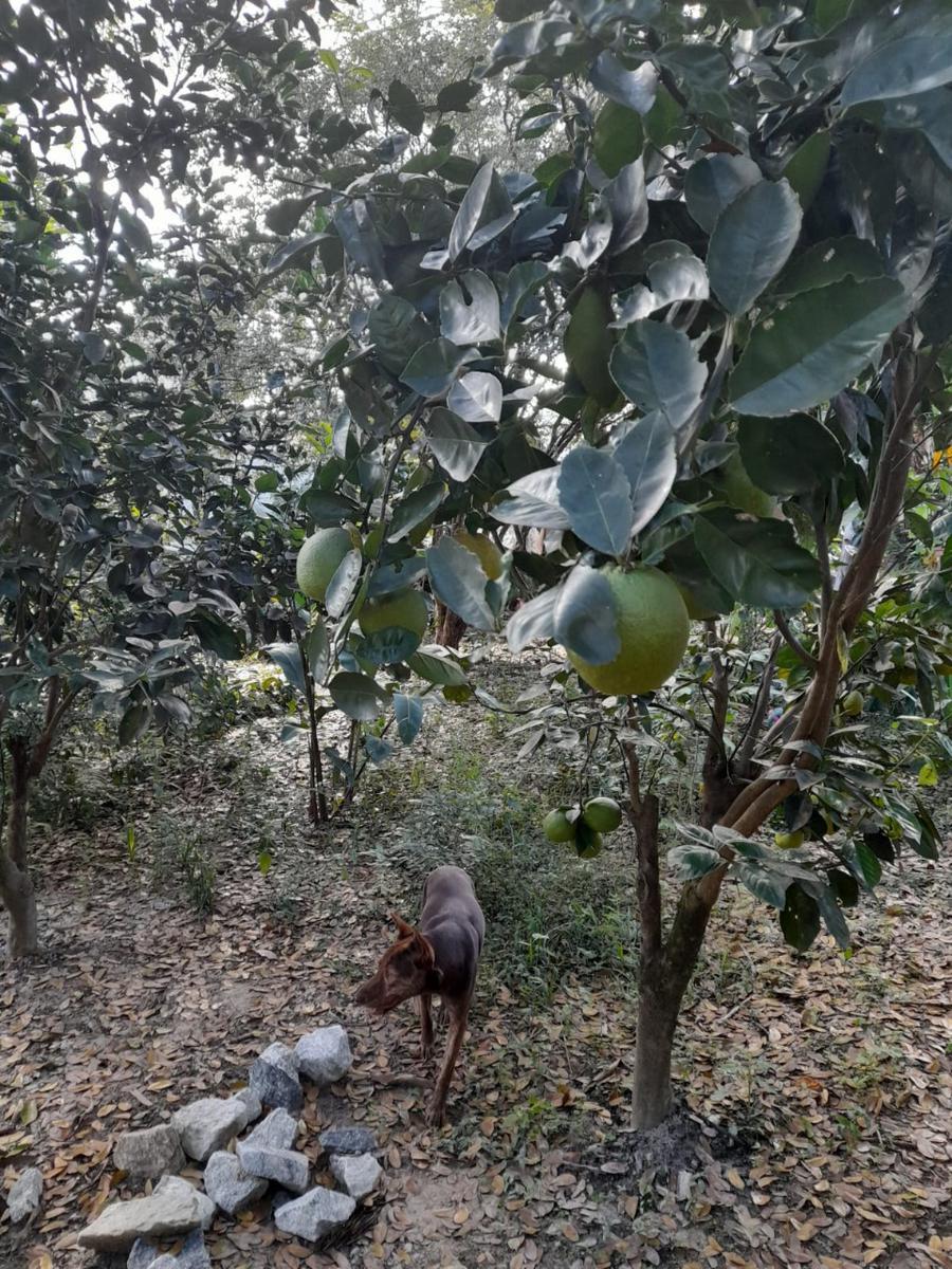 Casa, Bandeirinhas, 2 Quartos, 2 Vagas