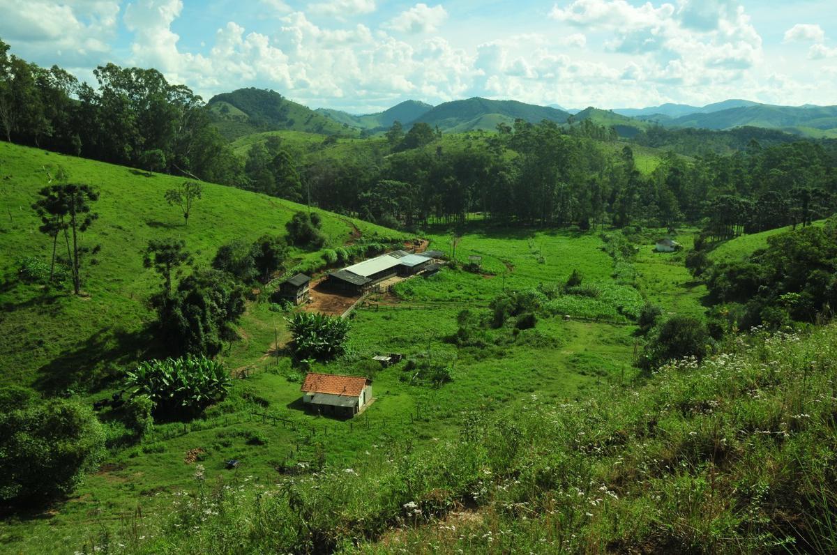 Fazenda, Centro, 3 Quartos, 0 Vaga